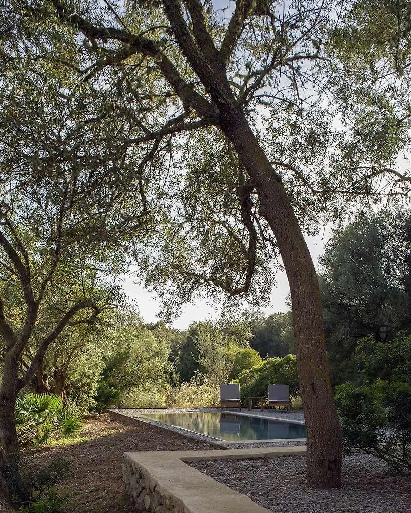 Vakantieboerderij Es Raco D Arta Adults Only Villa Spanje